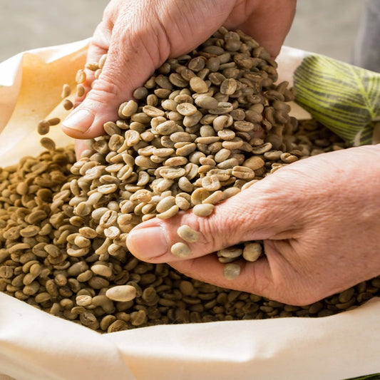 Robusta Coffee - Premium Unroasted from Uganda
