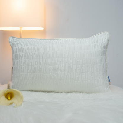 Velvet Jacquard Cushion Cases CHM2304013-30X50CM