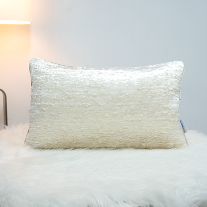 Morden Velvet Jacquard Cushion Cover HFCHM241114-30X50CM