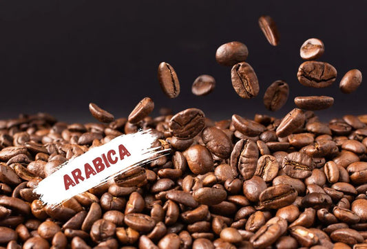 Premium Ugandan Arabica Coffee - Specialty Grade