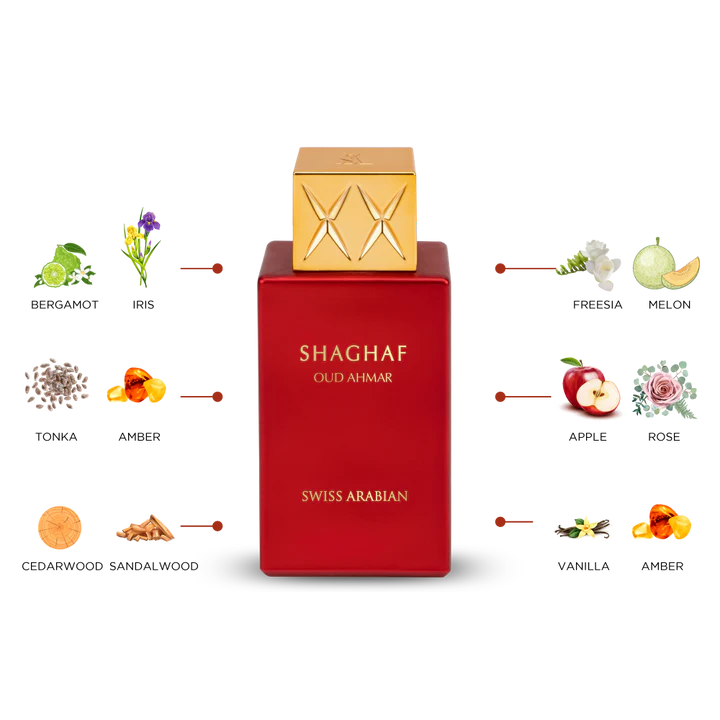 SHAGHAF OUD AHMAR - thebens