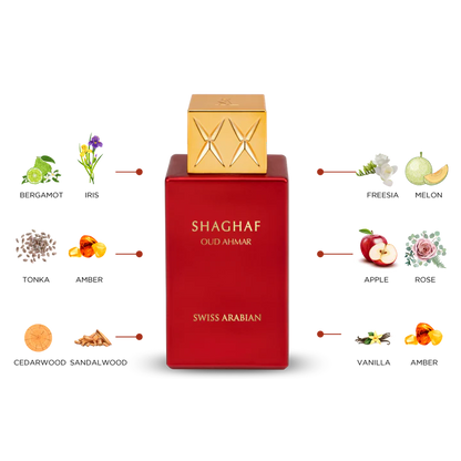 SHAGHAF OUD AHMAR - thebens